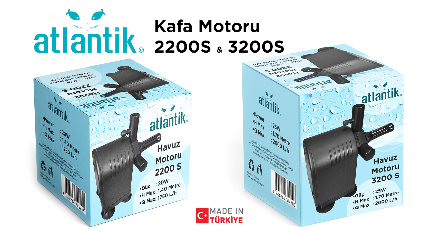 Atlantik Kafa Havuz Motoru